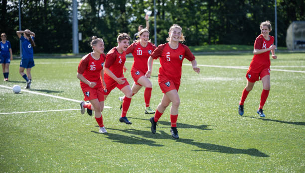 经展示出了 经展示出了